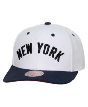  Mitchell & Ness Detroit Tigers Cooperstown MLB Evergreen Pro  Snapback Hat Cap - White : Sports & Outdoors