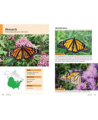 Raising Butterflies and Moths in the Garden by Brenda Dziedzic