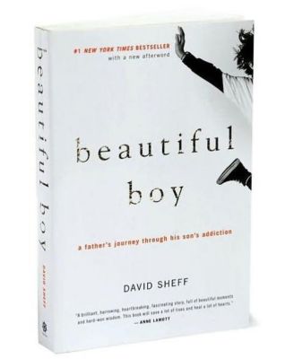 Beautiful Boy- A Father's Journey Through His Son's Addiction by David Sheff