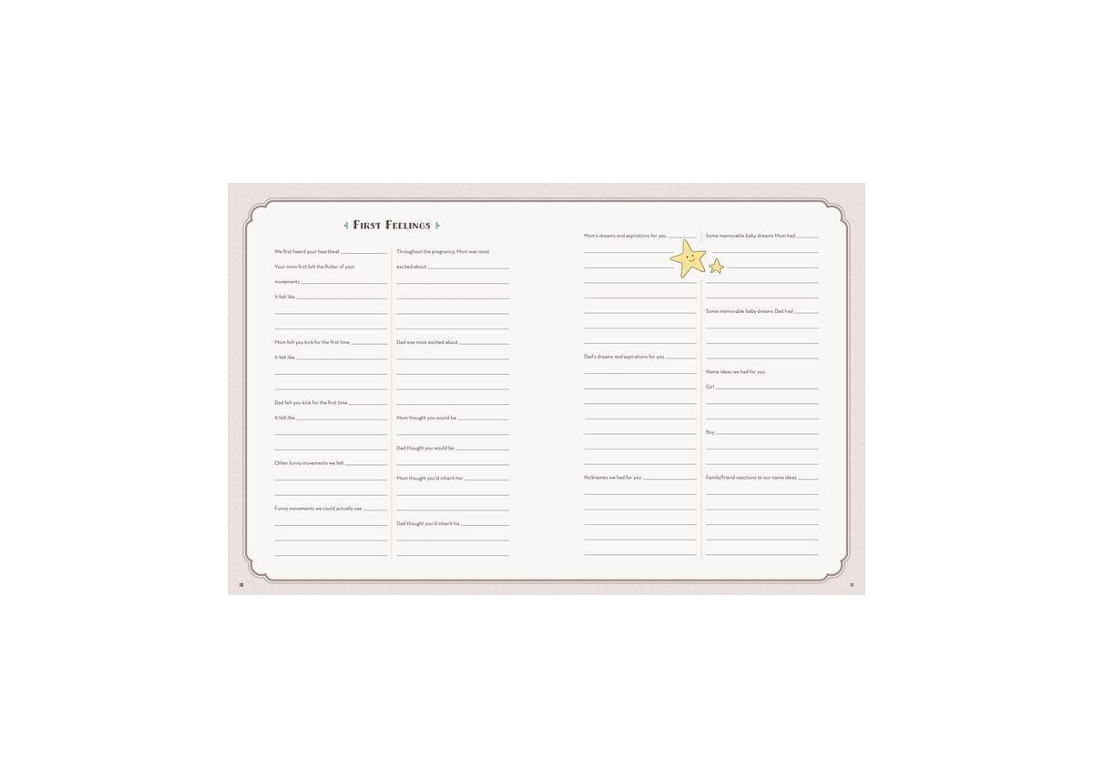 Barnes & Noble The Baby Keepsake Book And Planner By Mindy Weiss In No Color