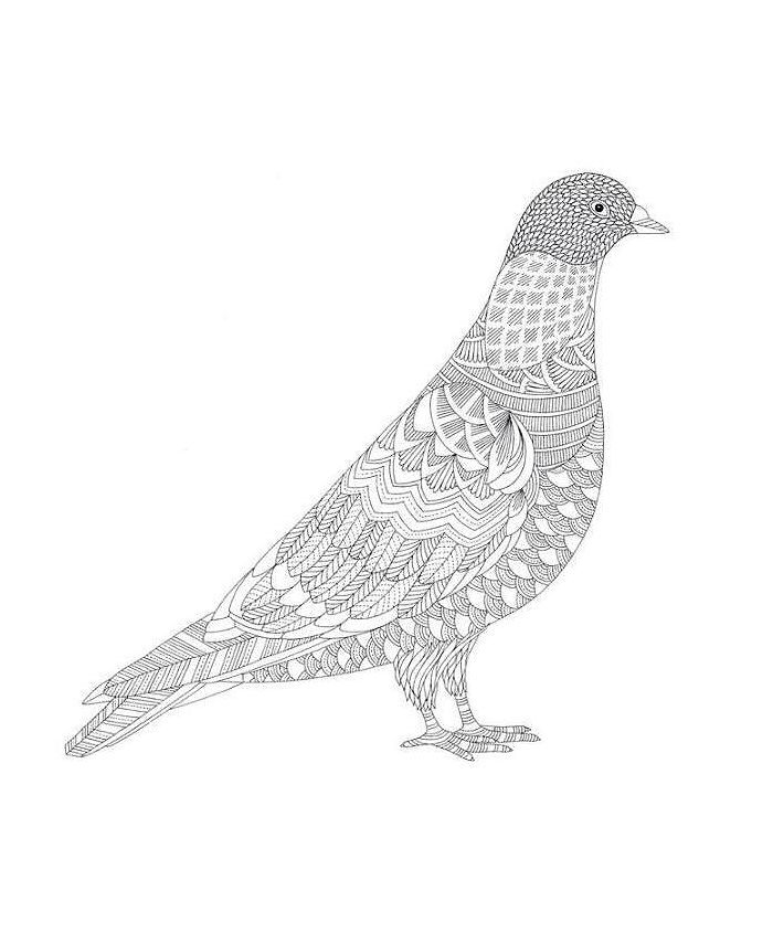 Barnes & Noble Animal Kingdom- Color Me, Draw Me by Millie Marotta - Macy's