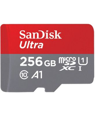 Sandisk