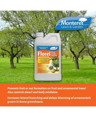 Florel Brand Plant Growth Regulator, 32 ounces