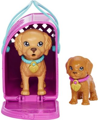 Doll and Accessories Pup Adoption Playset with Doll, 2 Puppies and Color-Change