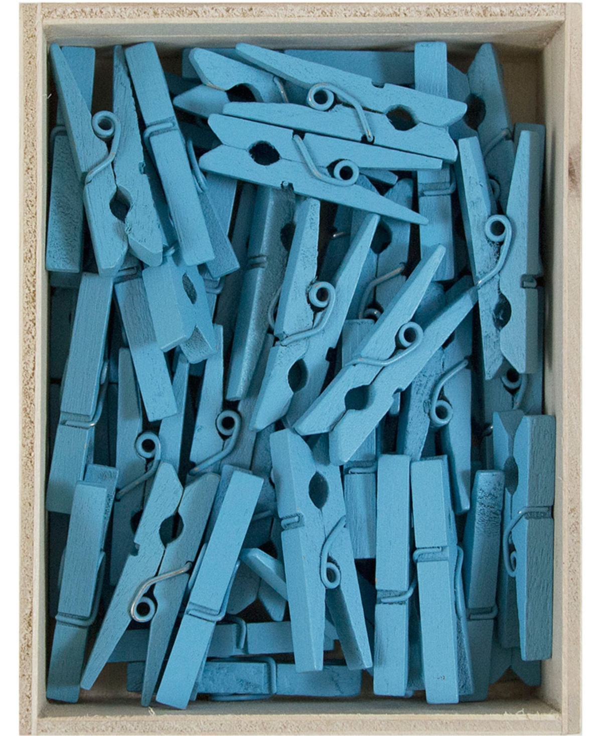 Shop Jam Paper Wood Clip Clothespins In Blue