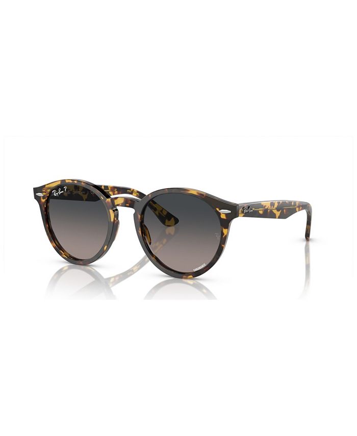 Polar ray sunglasses top