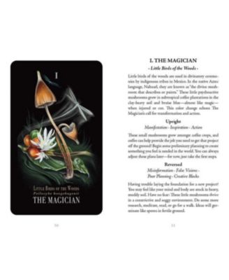 Midnight Magic- A Tarot Deck of Mushrooms by Sara Richard