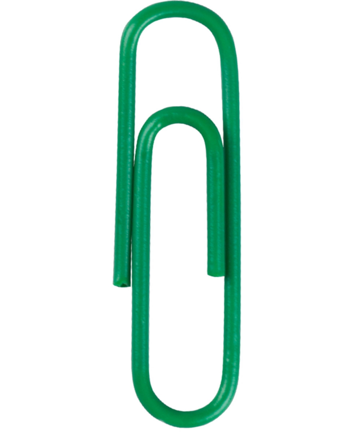 Shop Jam Paper Colorful Standard Paper Clips In Green