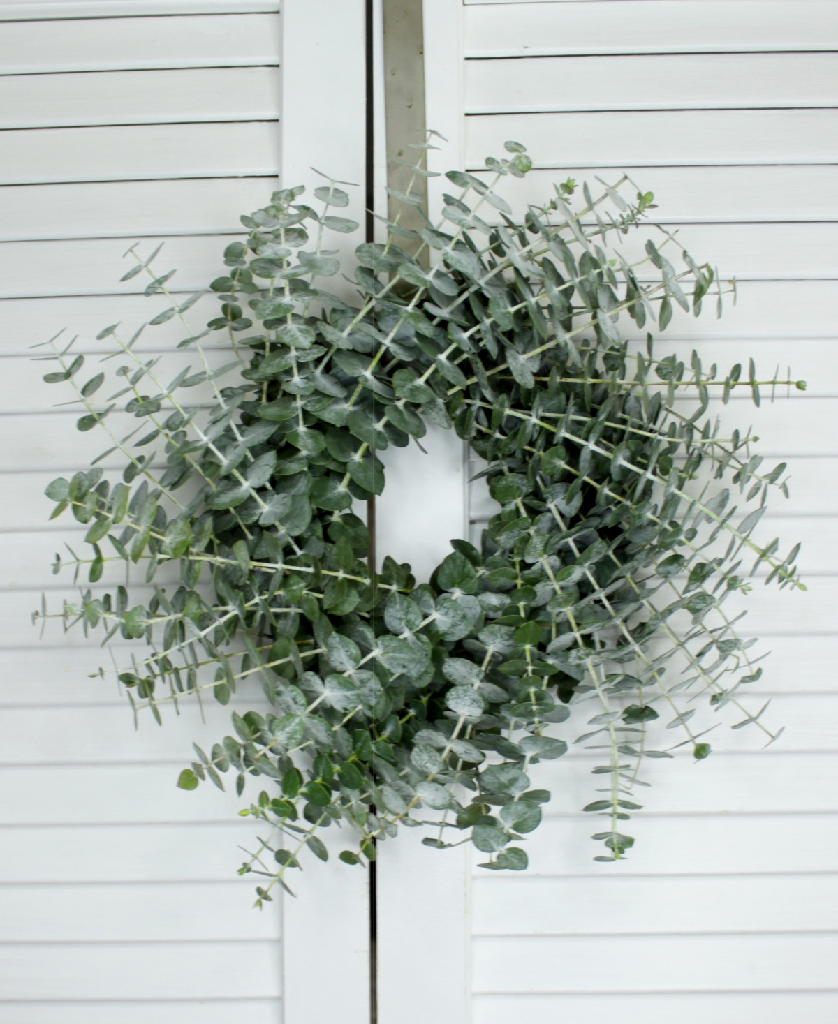 Magnolia Supply Co Fresh Eucalyptus Wreath 12" Soy Candle 4 oz Travel Tin In No Color