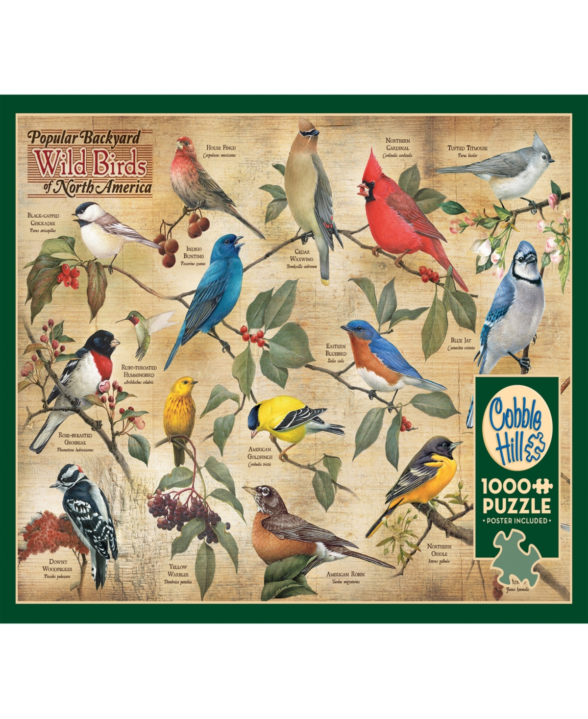 Shop Cobble Hill - Popular Backyard Wild Birds Of North America Puzzle In Multi