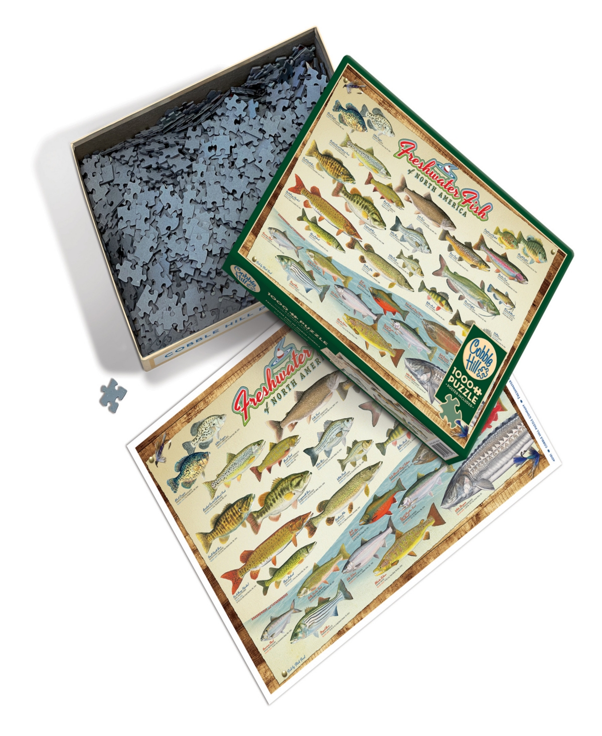 Cobble Hill - Freshwater Fish Of North America Puzzle In Multi