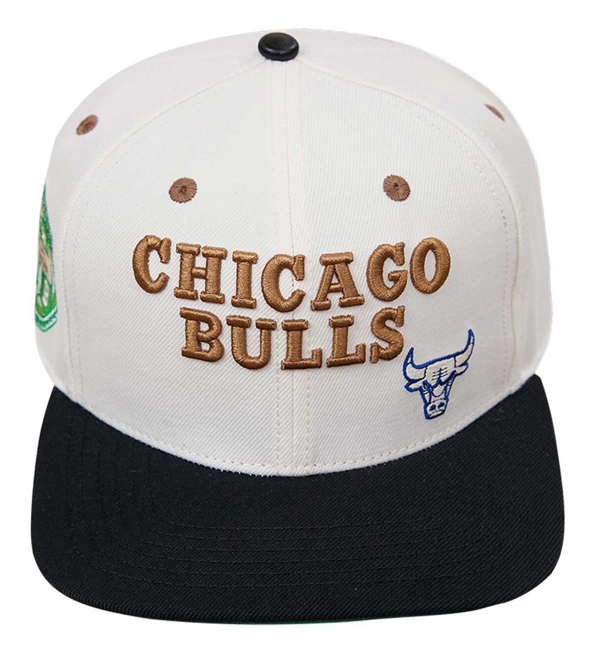 Men's Black Chicago Bulls Album Cover Snapback Hat - Black