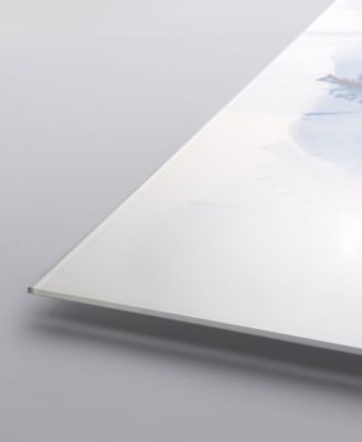 "Blue X-Ray Floral" Frameless Free Floating Tempered Glass Panel Graphic Wall Art, 24" x 24" x 0.2"