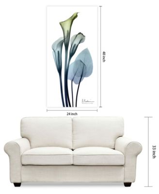 "CaLIa LIly" Frameless Free Floating Tempered Glass Panel Graphic Wall Art, 48" x 24" x 0.2"