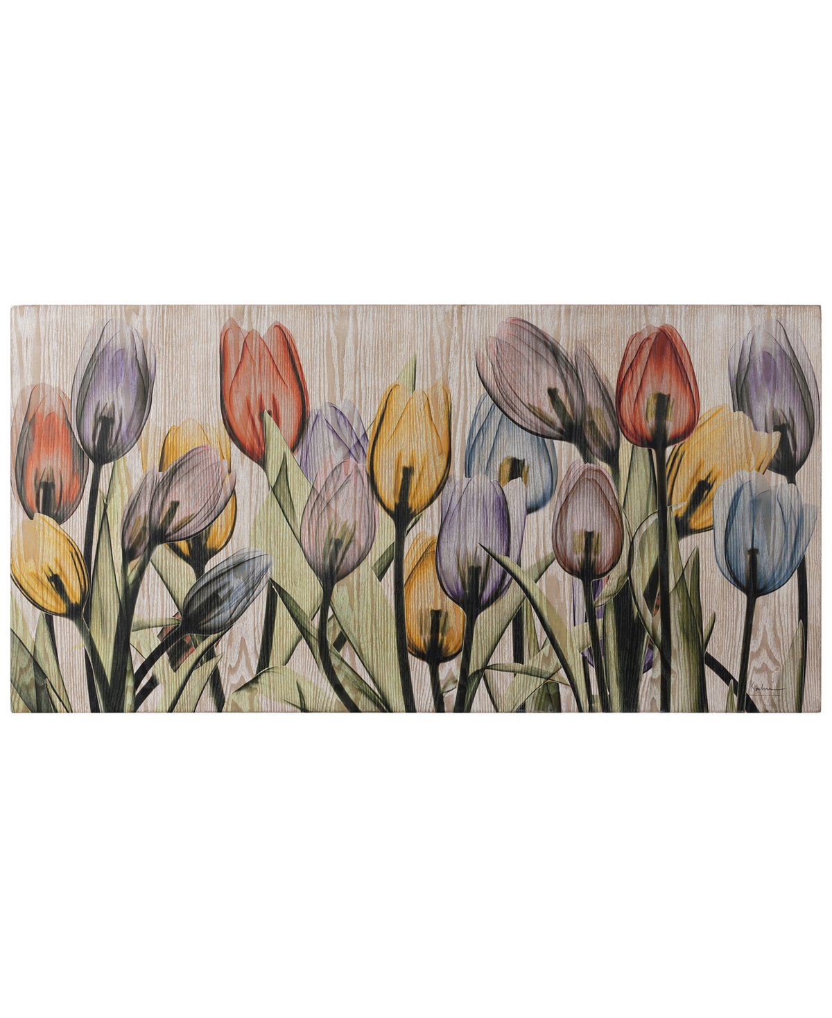 Empire Art Direct "tulipscape" Fine Radiographic Photography Giclee Printed Directly On Hand Finished Ash Wood Wall Ar In Multi-color