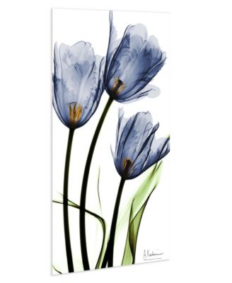 "Three Blue TuLIps" Frameless Free Floating Tempered Glass Panel Graphic Wall Art, 48" x 24" x 0.2"