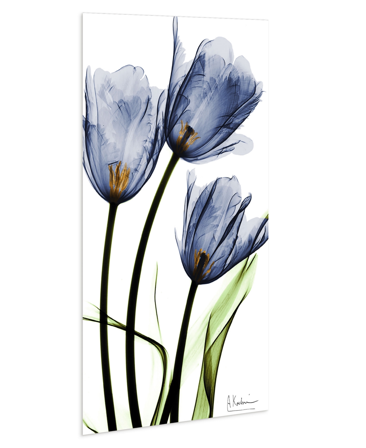 Empire Art Direct "three Blue Tulips" Frameless Free Floating Tempered Glass Panel Graphic Wall Art, 48" X 24" X 0.2" In Blue