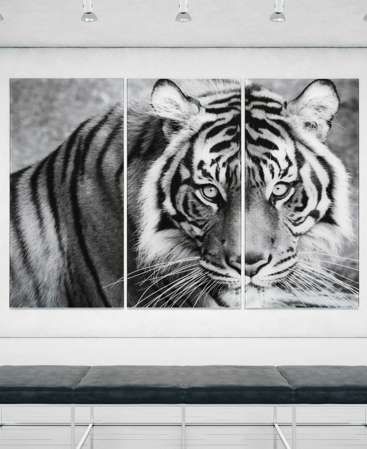 Shop Empire Art Direct "tiger Abc" Frameless Free Floating Tempered Glass Panel Graphic Wall Art Set Of 3, 72" X 36" X 0.2" In Gray