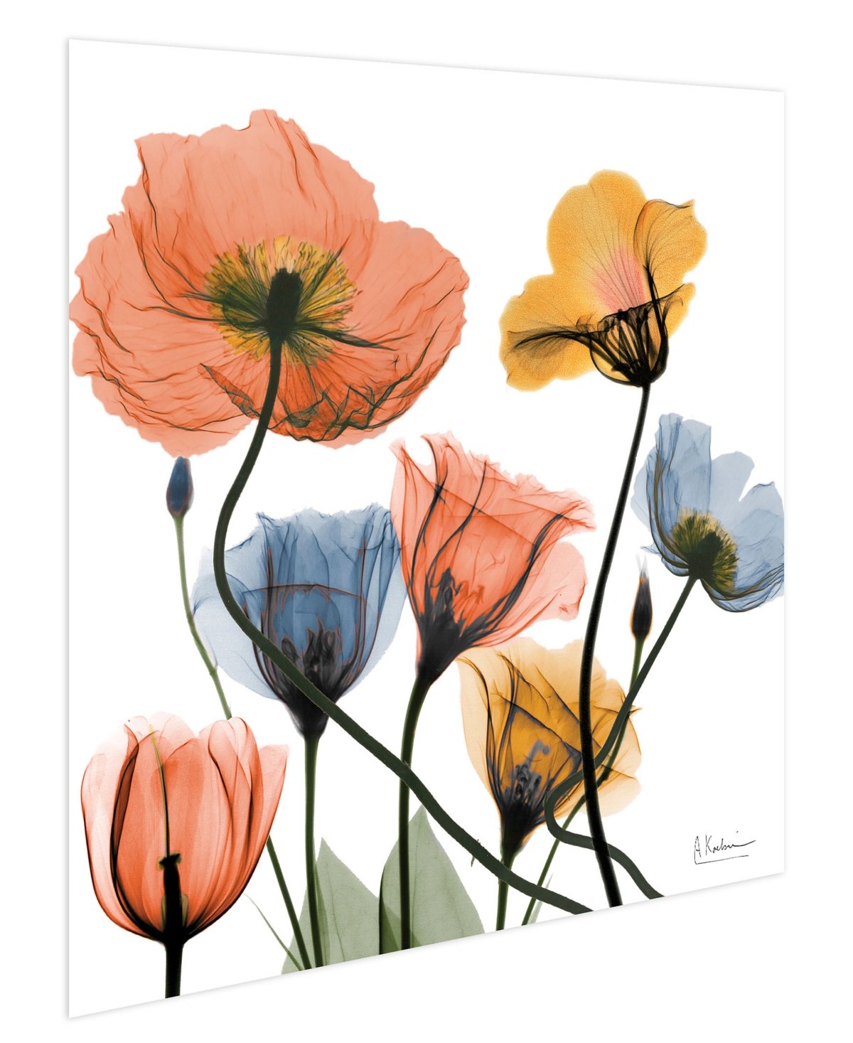 Empire Art Direct "flowers And Ferns" Frameless Free Floating Tempered Glass Panel Graphic Wall Art, 24" X 24" X 0.2" In Multi-color