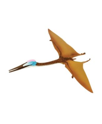 Safari Ltd