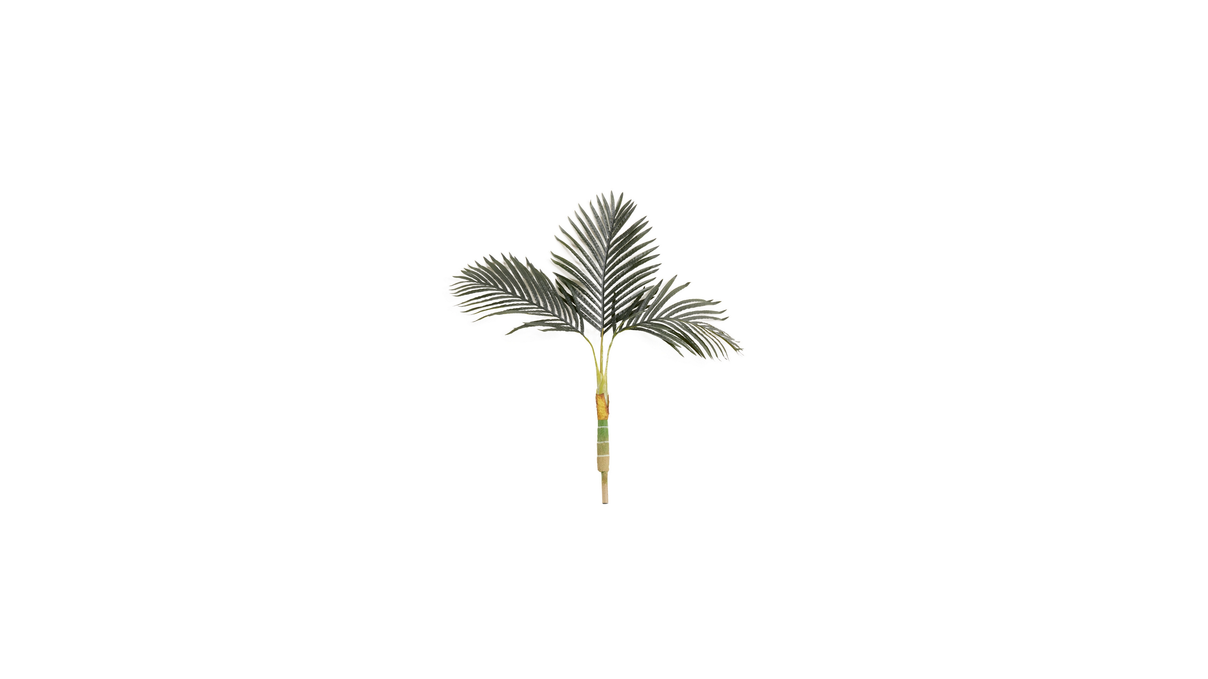 Nearly Natural 36" Artificial Cane Palm Tree No Pot