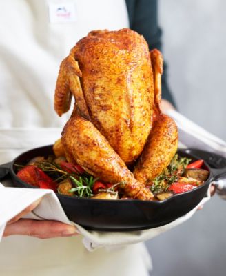 Enameled Cast Iron 9.5" Vertical Chicken Roaster 