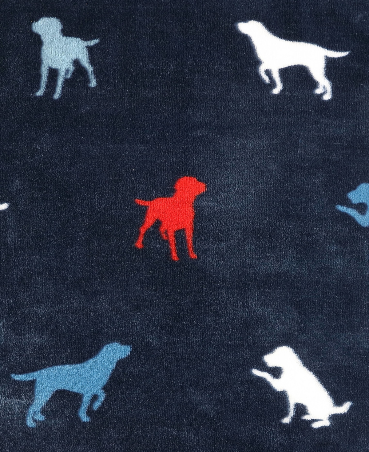 Eddie Bauer Buddy The Dog Ultra Soft Plush Fleece Throw, 70 x 50