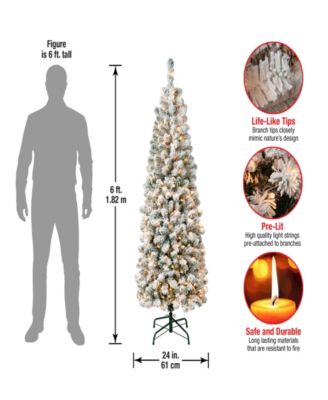 First Traditions 6' Acacia Pencil Slim Flocked Tree with Clear Lights