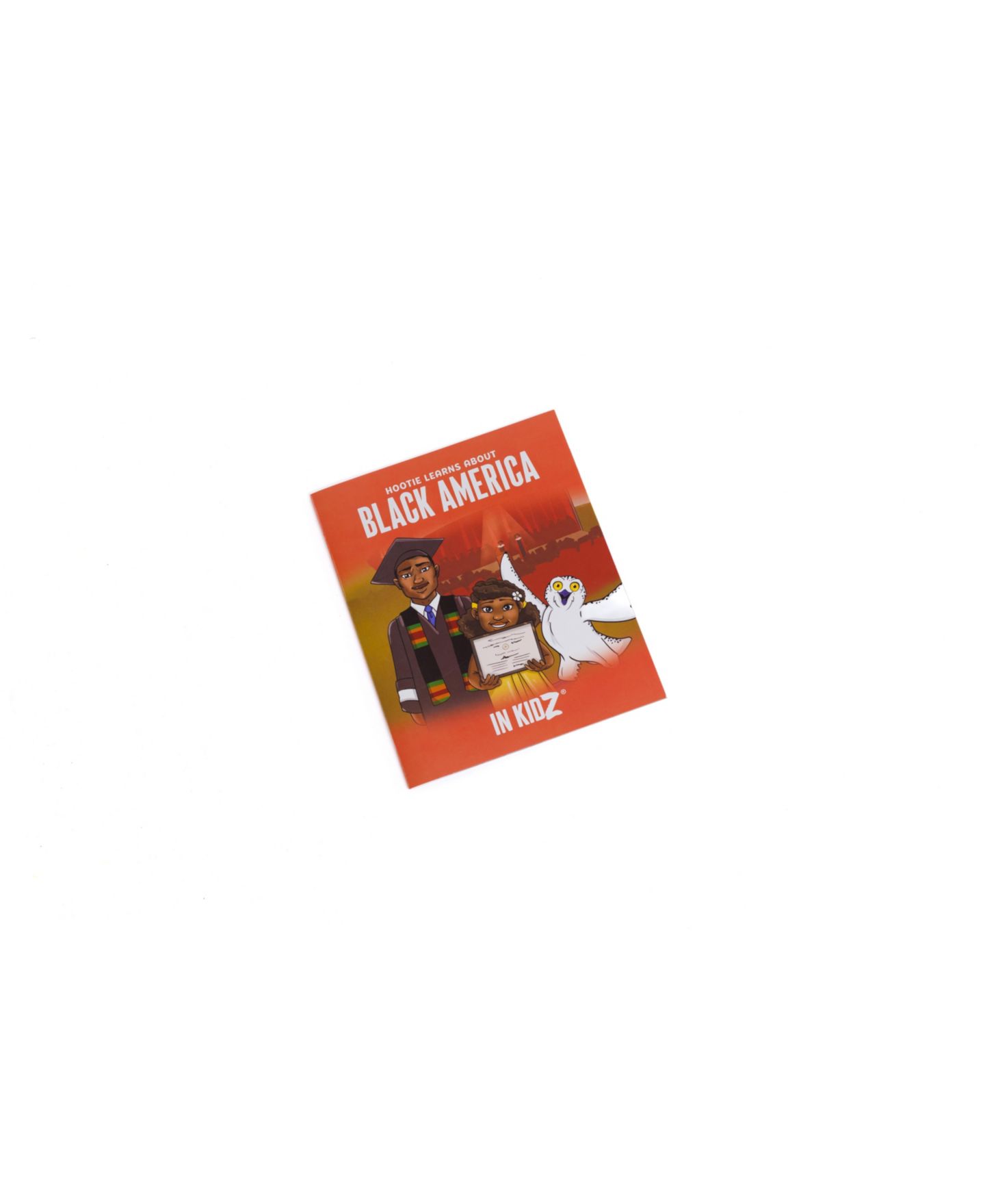 Детские игрушки In KidZ Culture Box Black History Toy Book Set, Ages 3+ — фото 4