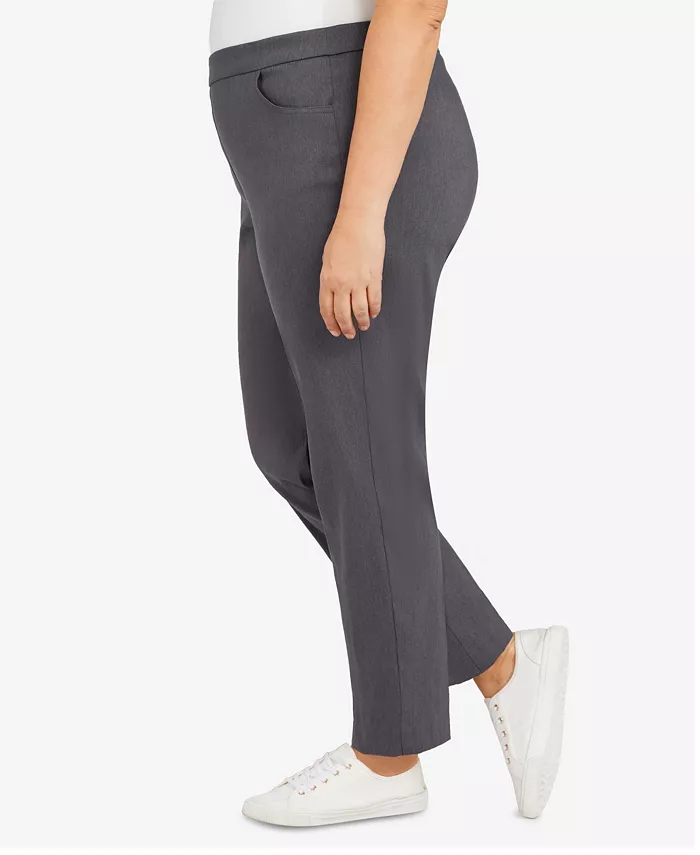 Plus Size Classic Allure Tummy Control Pull-On Average Length Pants - thumbnail 6