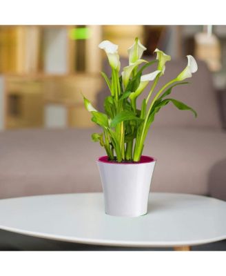 Plastic Round Modern Flower Pot with Drainage Planter