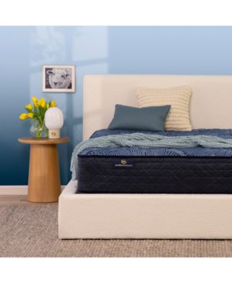 Perfect Sleeper Cobalt Calm 12" Extra Firm Mattress Set, Twin XL