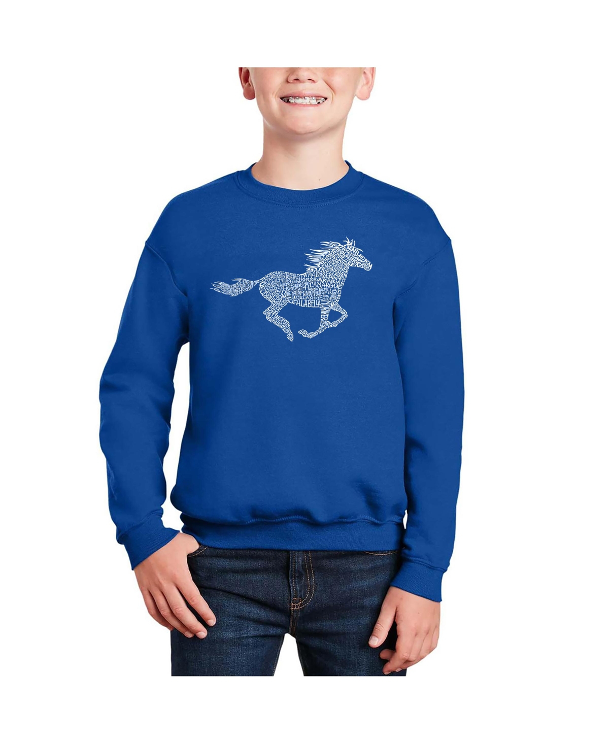 Horse Breeds - Big Boy's Word Art Crewneck Sweatshirt
