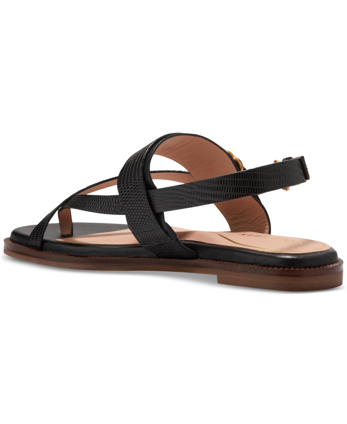 Shop Cole Haan Women's Anica Lux Buckle Flat Sandals In Black Leather