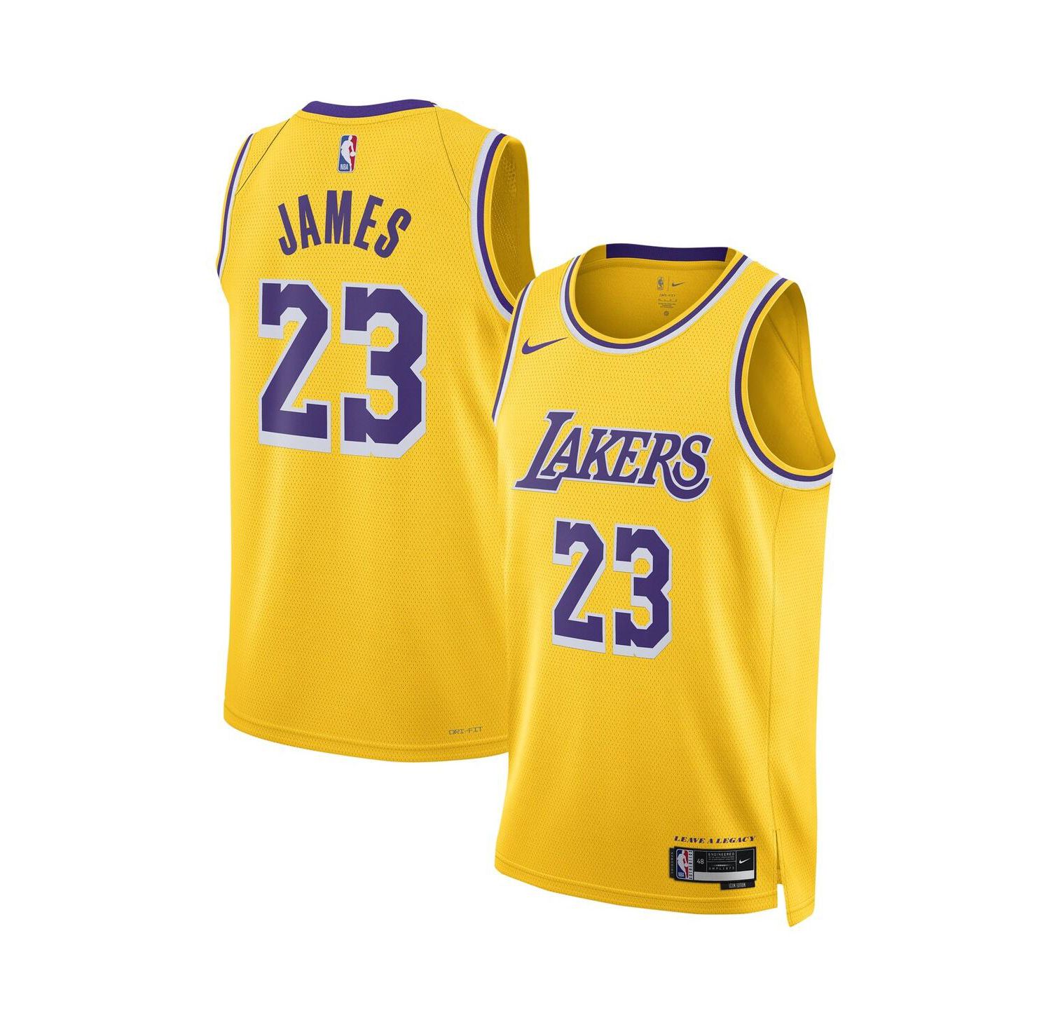 Men's and Women's LeBron James Los Angeles Lakers Swingman Jersey