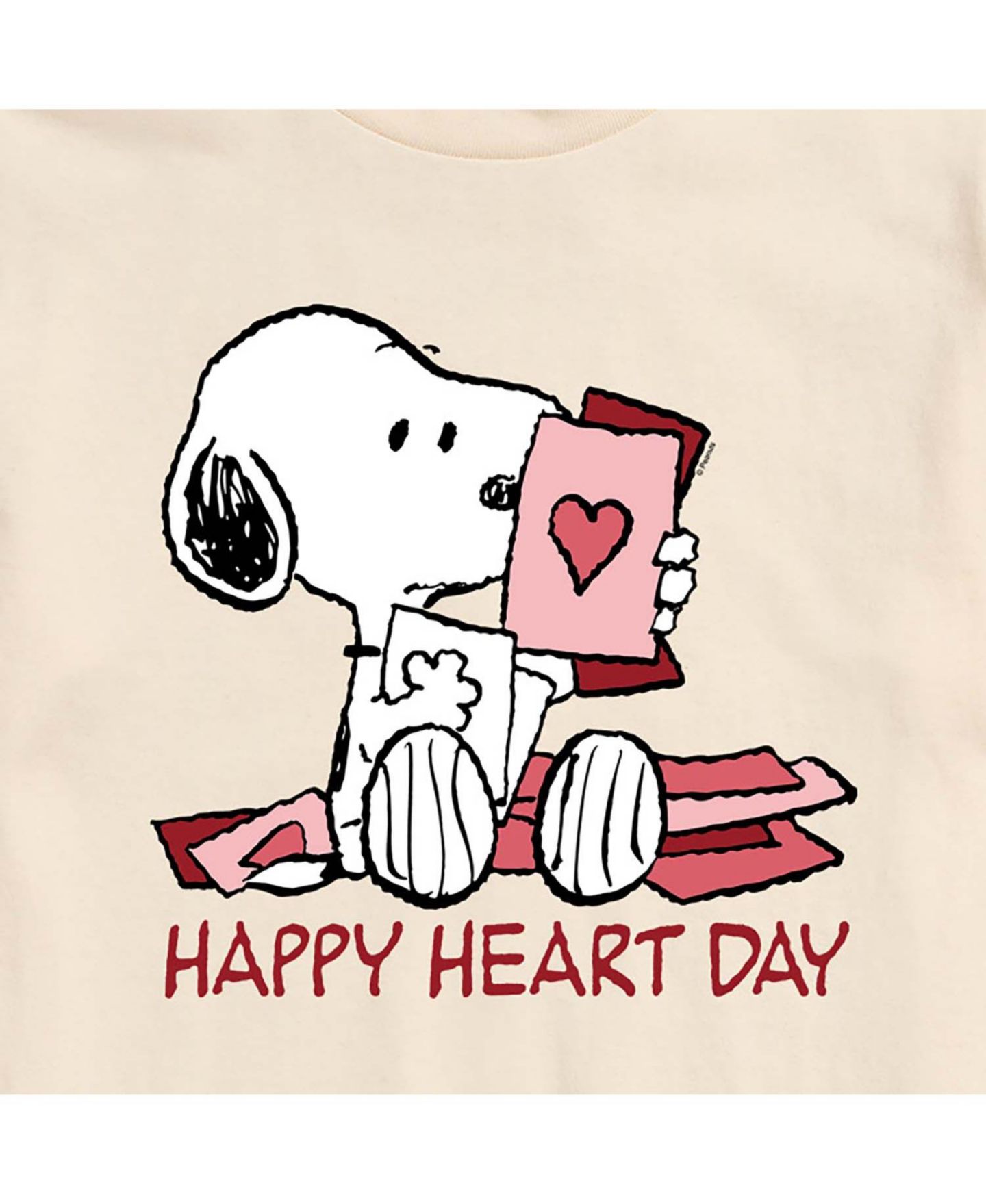 Мужская футболка AIRWAVES Peanuts Short Sleeve, цвет: Бежевый / Хаки — фото 3