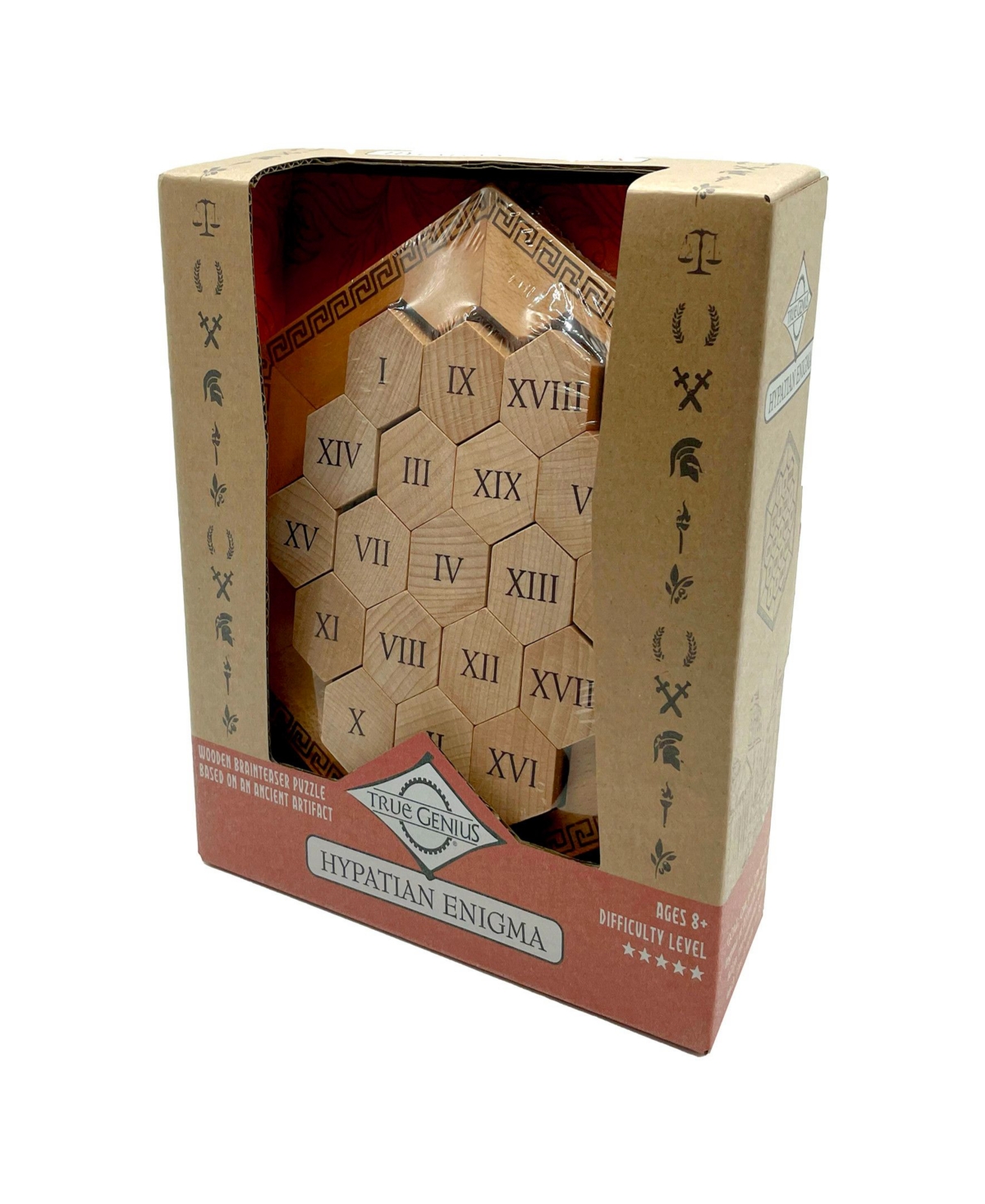Shop True Genius Hypatian Enigma Wooden Puzzle In Multi