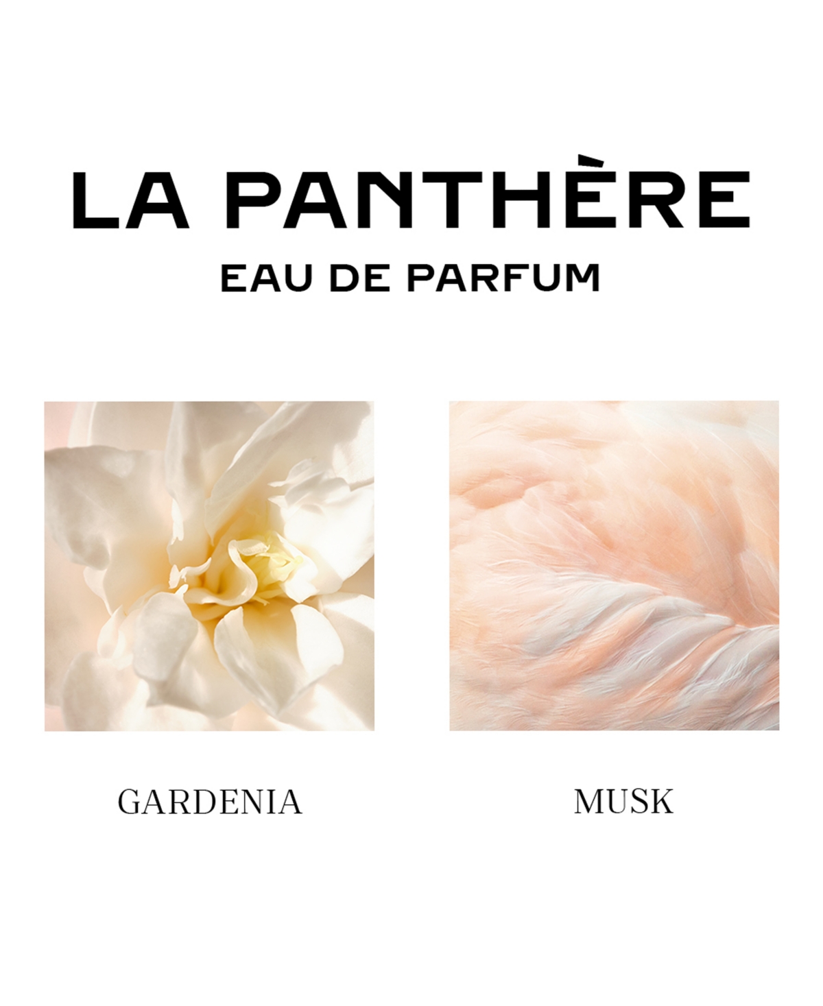Shop Cartier La Panthere Eau De Parfum, 3.3 Oz. In No Color