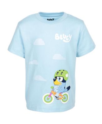 Little Boys 2 Pack T-Shirts