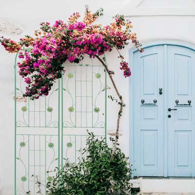 Metal Garden Trellis for Climbing Plants-Flower Support