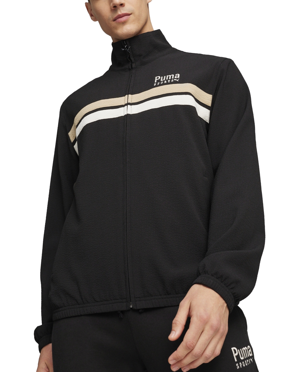 Puma Men's Team Track Striped Stand-collar Zip Jacket In  Black