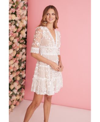 Adrianna Papell Women's V-Neck Lace Embroidered Dress - Macy's
