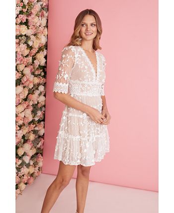 Adrianna Papell Women's V-Neck Lace Embroidery Dress - Macy's