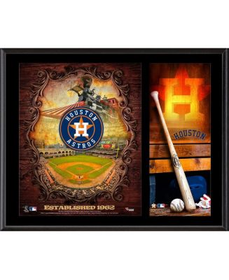 Fanatics Authentic Houston Astros 12'' x 15'' Sublimated Team Logo ...