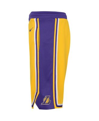 Nike Big Boys Gold Los Angeles Lakers Icon Edition Mesh