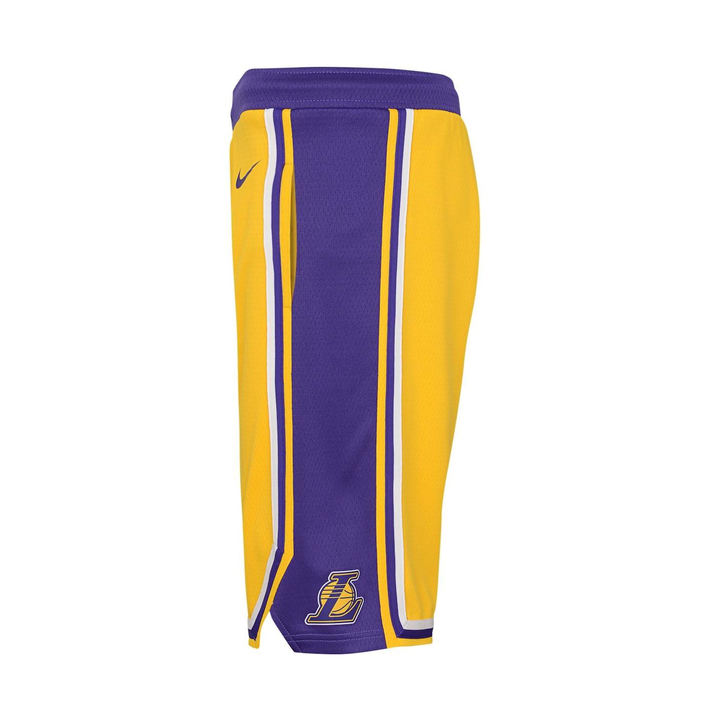 Шорты Nike Gold Los Angeles Lakers Icon Edition Mesh Performance Swingman Shorts для мальчиков — фото 2
