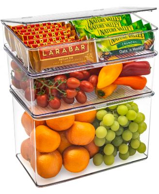 Storage Bins For Pantry & Fridge With Hinged Lids (3 Piece Variety)