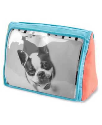 Discoverosity Play Gym 