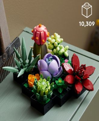 Icons 10309 Succulents Botanical House Plants Adult Toy Building Set