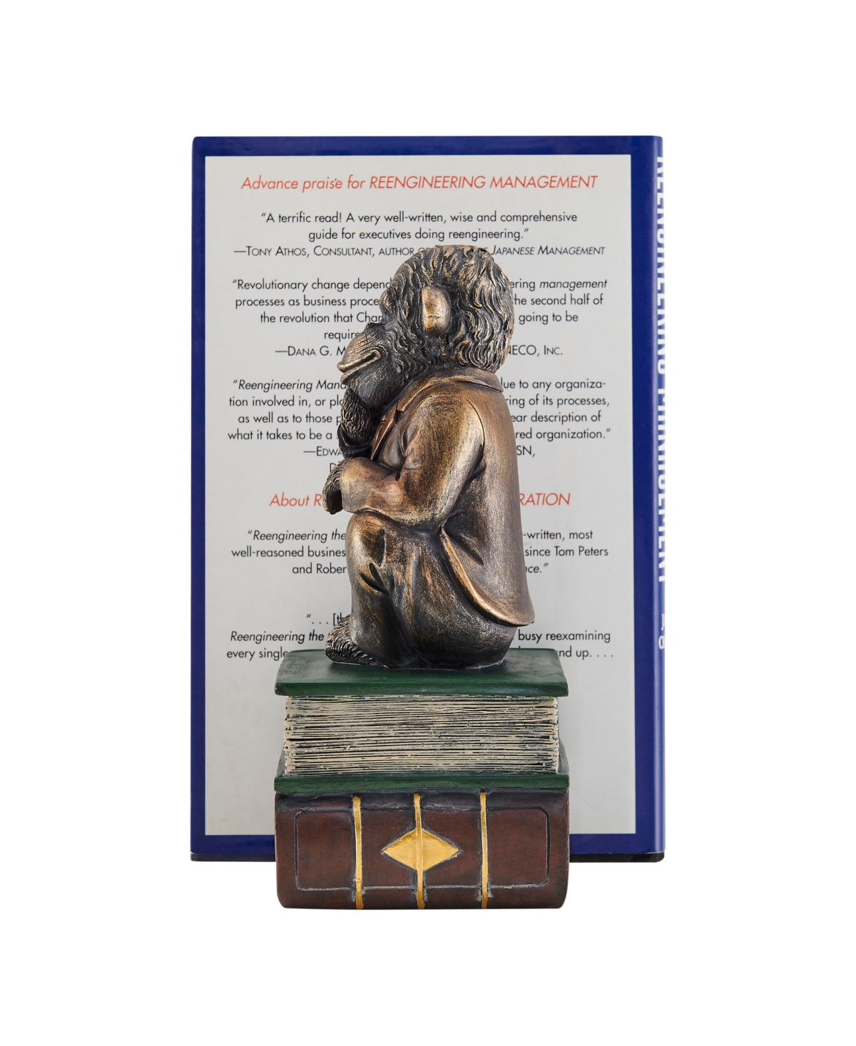 Danya B Monkeys on Books Polyresin Antique-Like Patina Finish Bookend, Set of 2